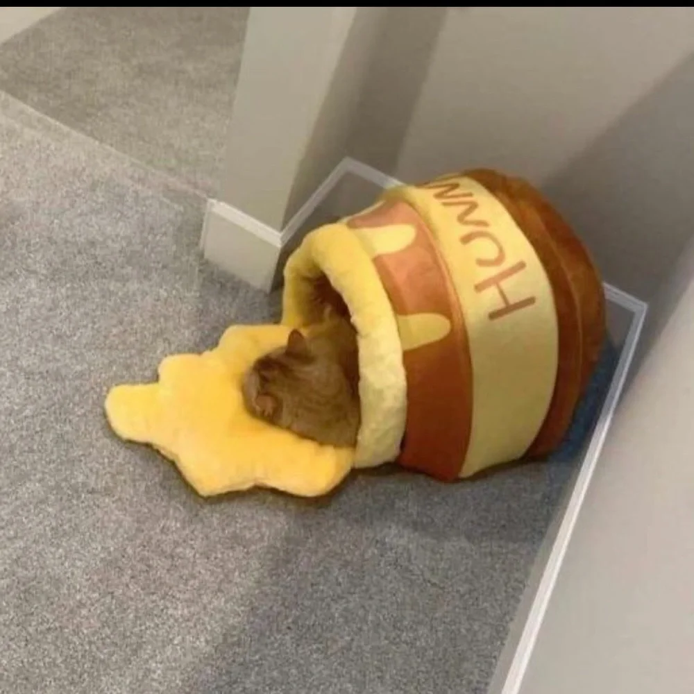 “Hunny” honey pot small dogs & cat bed w/ removable cushion (3 colors available)